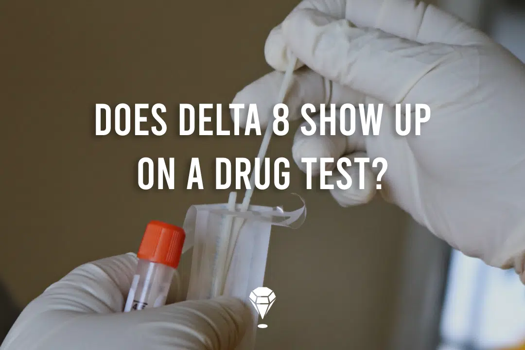 Everything You Need to Know About Delta 8 THC and Drug Tests